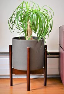 Hiện Đại Trong Nhà Gỗ Chậu Hoa Đứng Trang Trí Nhà Máy Đứng Với Chậu Gỗ Chủ Cho Trong Nhà Vườn Nguồn Cung Cấp - Product Image 5