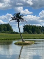 Big Fake Palm Tree Indoor Hall Außen pool Coastal Ornamental Decor Grüner Kunststoff Große künstliche Pflanze Kokospalme
