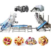 Industriële productielijn voor het maken van gevriesdroogde fruitchips, inclusief fruitwasser, -schiller, -ontpitter, -snijmachine en fruitverwerkingsproductie.