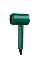 Sèche-cheveux professionnel de salon avec moteur AC, buse concentratrice, multi-usages, pour hôtel, portable et durable
