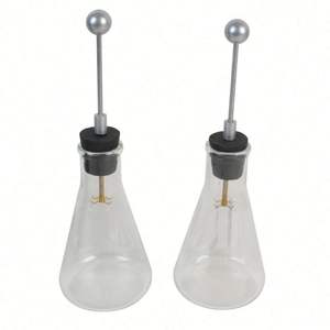 Conjunto <span class=keywords><strong>de</strong></span> demostración electrostática del <span class=keywords><strong>experimento</strong></span> del cubo <span class=keywords><strong>de</strong></span> hielo <span class=keywords><strong>de</strong></span> <span class=keywords><strong>Faraday</strong></span> para la Educación - Product Image 3