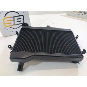 Manuale del Proprietario per Triumph Speed Triple 1050 2008-2010 - Product Image 2
