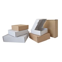 Caja de Cartón Corrugado para Avión con Logotipo Personalizado, Cajas de Papel Reciclables con Recubrimiento UV, Laminación Mate y Grabado en Relieve