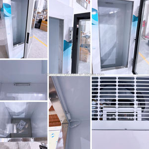 Ice Displaying Glass Doors Cold Storage Refrigerator Static Cooling Bagged Ice Storage Bin Big Capacity Ice Merchandiser - Product Image 3