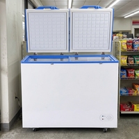 Réfrigérateur solaire à double température 230L/250L/260L avec batterie de secours pour usage domestique