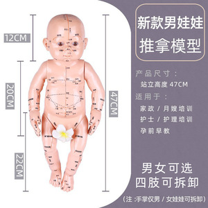 โมเดลการนวดเด็ก วัสดุพีวีซีสำหรับฝึกจุดฝังเข็มเด็ก สำหรับการสาธิตการสอน - Product Image 2