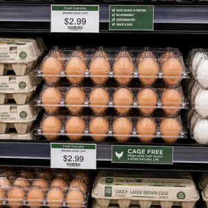 Paquete de 12 Bandejas Transparentes para Huevos de Plástico PET con Tapa, Desechables y Reciclables, Envase Tipo Blíster para Huevos de Gallina para Supermercado - Product Image 4