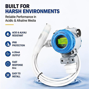 Sensor de Nivel de Agua Sumergible de Alta Precisión 4-20mA IP68 Nivel 0-200m Rango Personalizado - Product Image 1