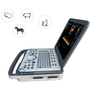 Chi phí-hiệu quả bác sĩ thú y siêu âm DOPPLER Màu hệ thống Hoàn hảo cho ngựa, bò, canine & Feline scan siêu âm thú y Máy cu38/cu60vet - Product Image 3