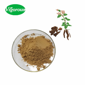 Hữu Cơ 100% Tinh Khiết Thảo Mộc Foti Chiết Xuất - Product Image 1