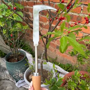 Desherbador de jardín de acero inoxidable con mango de madera, herramienta para excavar vegetales silvestres, rastrillo, <span class=keywords><strong>pala</strong></span> de jardín, gancho, plateado y marrón - Product Image 2