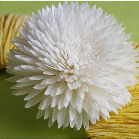 Fleur de Bois de Sola Séchée en Matériau Organique, Diffuseur de Roseaux, Populaire, 2020