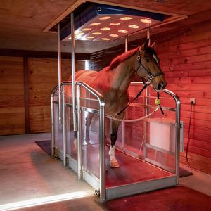 Système professionnel de solarium équin à infrarouge et lumière rouge pour la thérapie, équipement de rééducation équine, chauffage et séchage pour écurie - Product Image 6