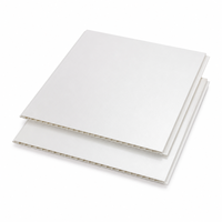 Placa de Techo de PVC Blanco Perla Resistente a la Humedad para Baños y Proyectos Hoteleros WYRAX