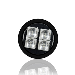 3030 SMD T10 W5W 4SMD LED CANBUS xe nội thất mái vòm ánh sáng tự động đèn đọc sách xe cửa bóng đèn phụ kiện Giấy phép Tấm Đèn - Product Image 2