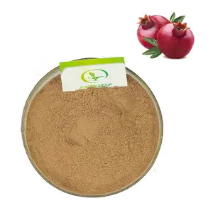 GMP热销优质石榴籽提取物粉