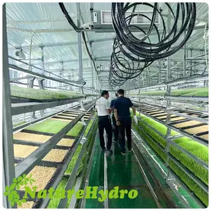 farm fodder Modular, Containerized Fodder Systems tropical multi span greenhouse