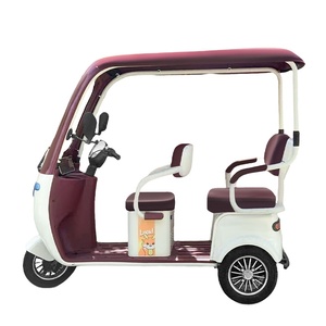 Triciclo Eléctrico Plegable Fanlin 2026 de 1000W y 60V para Adultos, Novedad, 3 Velocidades, Bicicleta Eléctrica de Carga con Batería de Plomo-Ácido Abierta - Product Image 3