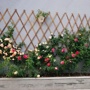 Clôture en <span class=keywords><strong>treillis</strong></span> en <span class=keywords><strong>bois</strong></span> télescopique anti-corrosion carbonisée facilement assemblée cadre d'escalade de <span class=keywords><strong>plante</strong></span> verte moderne grille d'escalade - Product Image 3