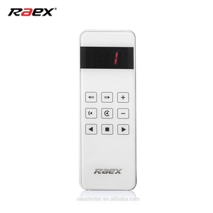 Raex canales doble mano control remoto puede controlar todos los de motor de la <span class=keywords><strong>serie</strong></span> - Product Image 2