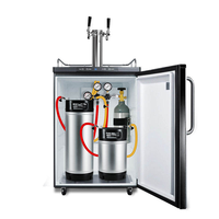 Kit de brassage maison 10L/19L avec fûts à bière à verrouillage rapide, régulateur de CO2 à triple manomètre, ligne de brassage à verrouillage rapide et robinet pour bière et soda