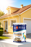 Peinture acrylique auto-nettoyante pour marquage routier, application au pinceau
