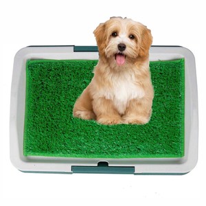 Bac d'apprentissage de propreté intérieur en gazon artificiel pour chiots, avec tapis absorbant pour l'urine et pelle à litière en plastique durable - Product Image 1