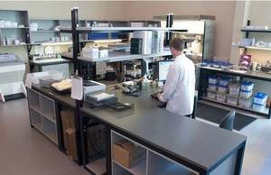 Epinephrine humano/adrenalina, epi elisa kit - Product Image 4