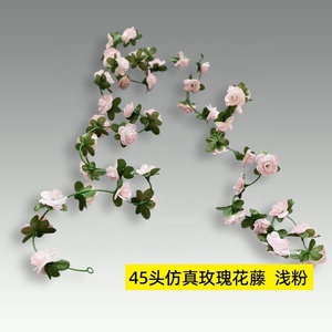 Épineux un noir violet Violette rose désert Floral d'Etoile croissant barre bleue escalade nuage cyprès anglais Rose vigne - Product Image 5
