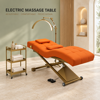 Table de massage électrique professionnelle réglable en hauteur, lit de beauté inclinable, mobilier de salon pour soins du visage et spa