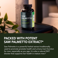 Complément Alimentaire en Capsules de Palmier Nain (Saw Palmetto) à Marque Blanche OEM pour Hommes Adultes, Favorisant la Santé de la Prostate et Urinaire, Sans Gluten
