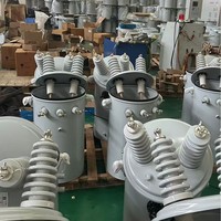 Transformateur de distribution monophasé immergé dans l'huile, monté sur poteau, 10 kVA, 50 kVA, 100 kVA, pour les systèmes électriques des réseaux publics