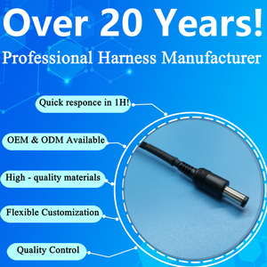 Cable de Extensión Personalizado con Conector DC de 5.5*2.1mm, 400mm, Macho/Hembra, Arnés de Cables para Computadora, Automóvil y Electrónica - Product Image 6