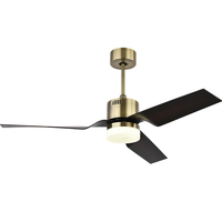 Ventilador de techo personalizado con lámpara Breezelux Zhongshan ventilador de techo lámpara Control remoto 220V ventilador de techo con luz