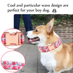 <span class=keywords><strong>Collar</strong></span> de perro de lujo personalizado de diseñador 2025 con hebilla de Metal dorado estilo moderno y de dibujos animados sublimación directa del fabricante - Product Image 6