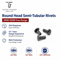 Rivets semi-tubulaires à tête ronde personnalisés TianFang pour prototypes de clips de montage solaire, en acier au carbone zingué, contrôle ISO9001