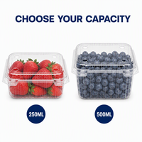 Conteneur alimentaire articulé en PET transparent, recyclable et personnalisable, 250 ml, 500 ml, pour supermarché, préparation de repas, boîte à salade de fruits