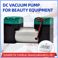 Pompe à air 12V 15L/min, petite pompe à vide à diaphragme à haute pression CC, instrument de soin de la peau à ultrasons, marine, garantie de 3 ans