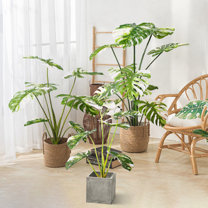 Hot Selling Hochwertige künstliche <span class=keywords><strong>Monstera</strong></span> Bonsai Bäume Bunte <span class=keywords><strong>Monstera</strong></span> Blätter für Hausgarten Dekor Großhandel - Product Image 1