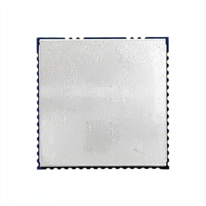 โมดูลและโมเด็มตัวรับส่งสัญญาณ RF บริการครบวงจรแบบ WS2116-A0 - Product Image 1