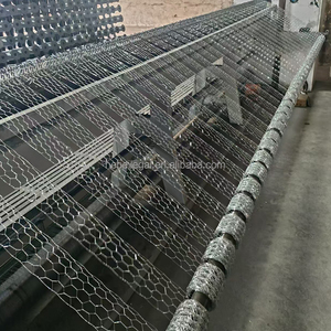 Clôture hexagonale tissée de 1m, 1,5m, <span class=keywords><strong>2m</strong></span> de <span class=keywords><strong>hauteur</strong></span>, vente directe usine, idéale pour l'élevage de poulets - Product Image 3