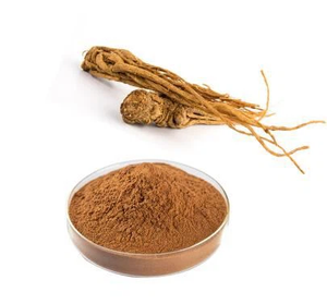 Yüksek kaliteli bitkisel Angelica Sinensis kök ekstresi tozu <span class=keywords><strong>Dong</strong></span> <span class=keywords><strong>Quai</strong></span> anjelika kök ekstresi 10:1 - Product Image 2