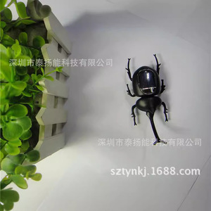 ของเล่นเพื่อการศึกษาแบบใช้พลังงานแสงอาทิตย์รูปแมลงวันวัสดุ ABS สีดำสำหรับเยาวชน ของเล่นวิทยาศาสตร์และวิศวกรรม - Product Image 4