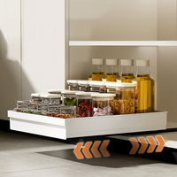 DAYOOH Étagère coulissante extensible pour armoire de cuisine, tiroir de rangement en plastique robuste pour épices