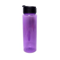 Bouteille d'eau avec infuseur à fruits sans BPA, avec filtre, anti-fuite, bouteille de sport en plastique pour thé détox, jus