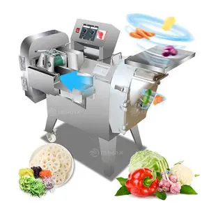 Machine de découpe de chips de noix de coco légumes poireaux ail à haut rendement