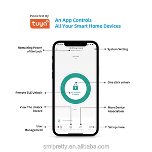 Thông Minh Lớn Key An Toàn Hộp Khóa Truy <span class=keywords><strong>C</strong></span>ập Từ Xa Ngay Lập Tứ<span class=keywords><strong>c</strong></span> Wifi Di Động Ngoài Trời Tính Năng Thép <span class=keywords><strong>C</strong></span>ửa Bộ Nhớ Thẻ Truy <span class=keywords><strong>C</strong></span>ập Thông Qua Tuya/ttlock - Product Image 5