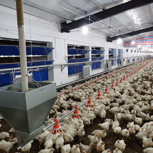 Équipement pour volaille viande volaille équipement pour poulets de chair poulailler ferme avicole - Product Image 2