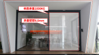 Eloyd personnalisé Standard australien Porte coulissante à double vitrage Nouveau design moderne Portes vitrées pour application extérieure