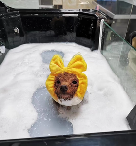 PetFit Vasca Spa <span class=keywords><strong>di</strong></span> Lusso Ecologica in Acrilico per Cani e Gatti <span class=keywords><strong>di</strong></span> Piccola e Media Taglia con Funzioni <span class=keywords><strong>di</strong></span> Bagno all'Ozono e Latte per Uso in Saloni <span class=keywords><strong>di</strong></span> <span class=keywords><strong>Toelettatura</strong></span> - Product Image 5